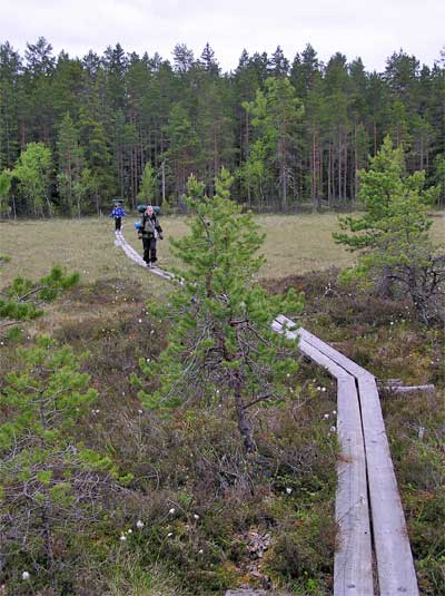 Hikers crossing a marsh.